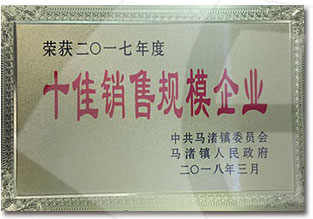 十佳銷售規(guī)模企業(yè)