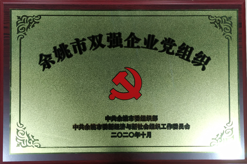 雙強企業(yè)黨組織